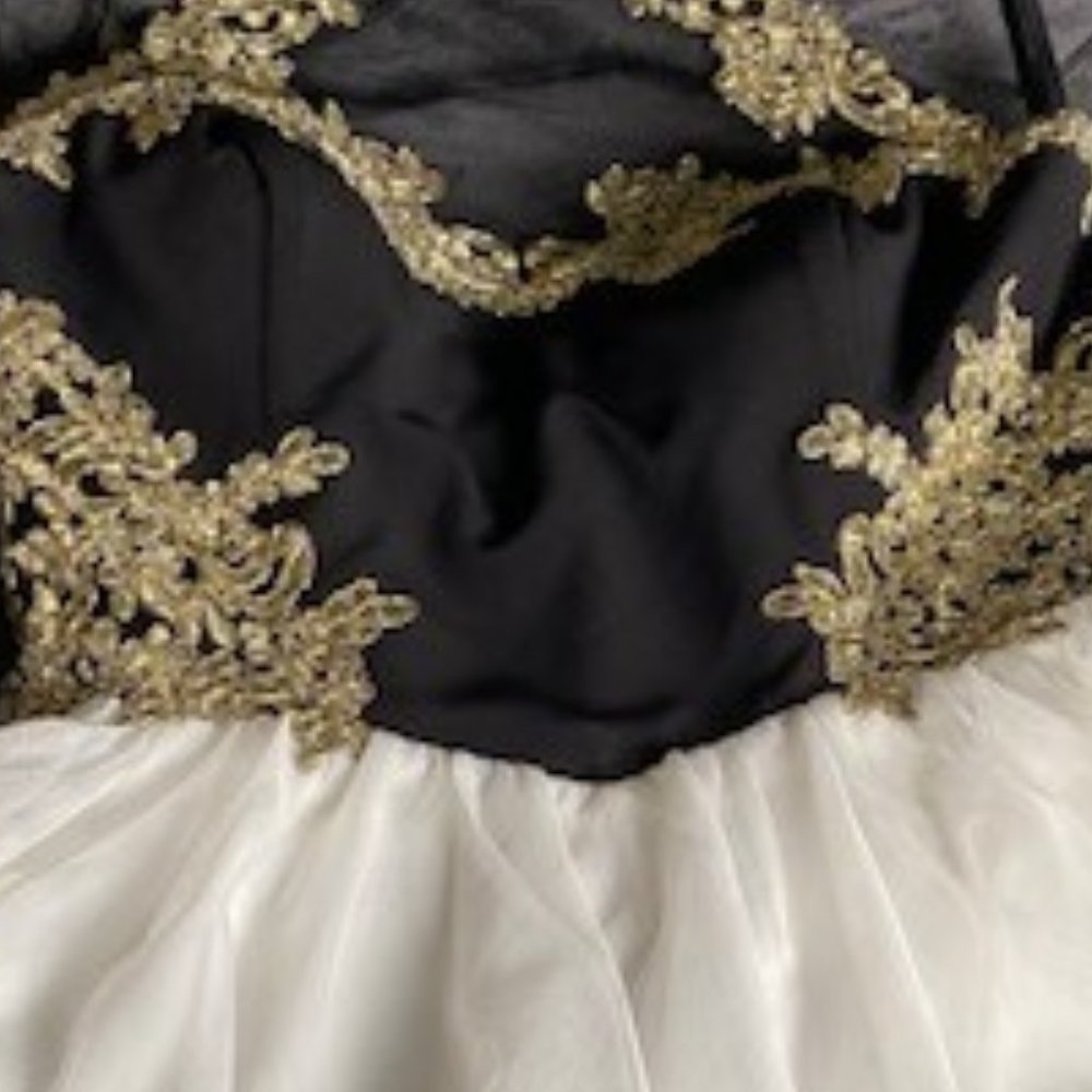 Prom Dress - Picture 10 of 10